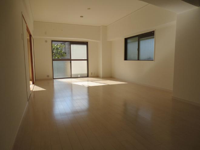Living. Interior