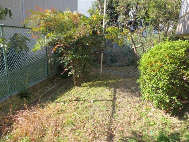 Garden. Private garden