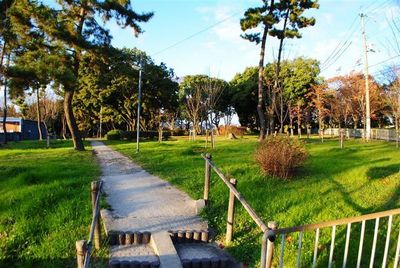 park. Momoyama park Station of lush oasis 700m until the (park)