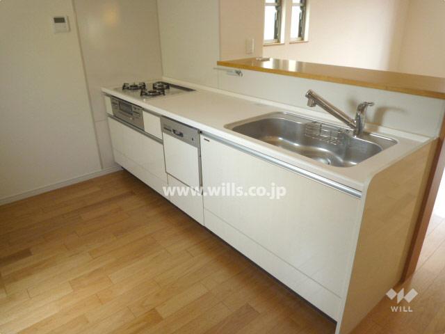 Kitchen. Dish washing and drying machine, Water purifier with counter kitchen! Grill is both sides grilled type Mizunashi!