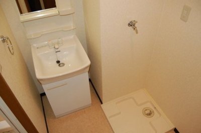 Washroom. Happy basin dressing room type
