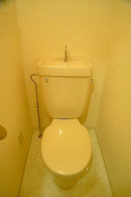 Toilet. A clean toilet