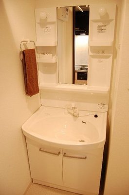 Washroom. Shampoo - dresser - equipped