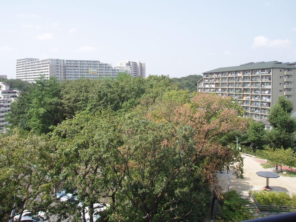 View photos from the dwelling unit. Is the view that green shine. You can enjoy the view of the four seasons.