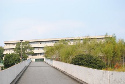 Junior high school. Minamisenri 800m until junior high school (junior high school)