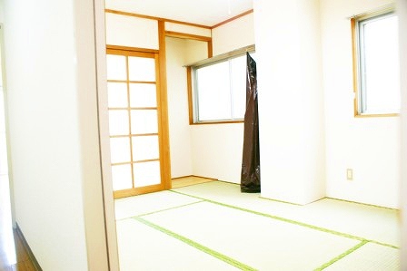 Other room space. Japanese-style room (1)