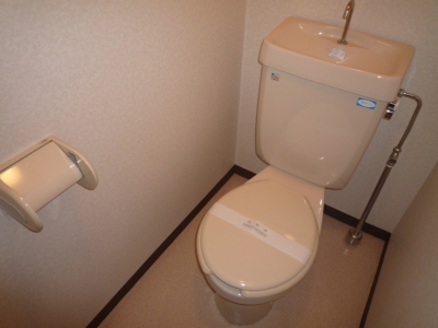 Toilet. Separate looks basic! Initial cost low-cost it is happy!