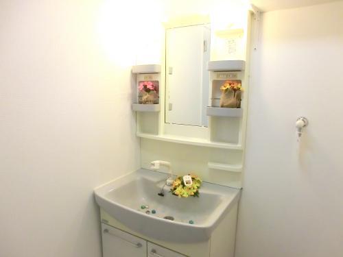 Wash basin, toilet