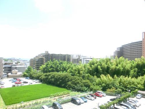 View photos from the dwelling unit