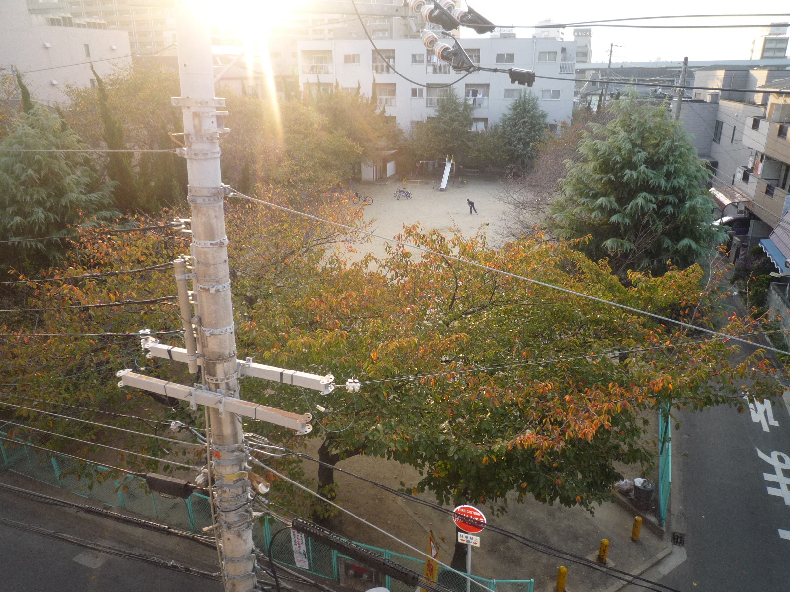 View. Spring is the park of cherry blossoms in full bloom, Because it is across the street, Day is also good