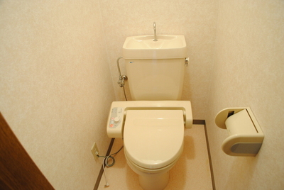 Toilet. Quite valuable Washlet