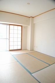 Living and room. Japanese style room