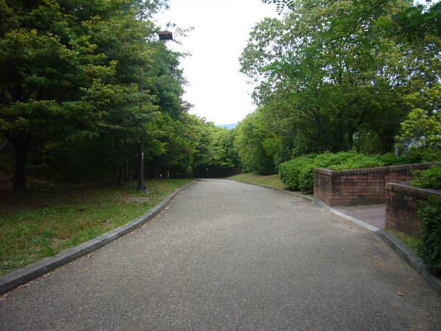 Other. Neighborhood park (Senri park) walk 3 minutes