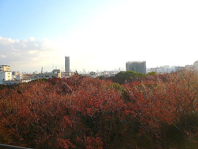 View photos from the dwelling unit. I view is beautiful because it faces the park!