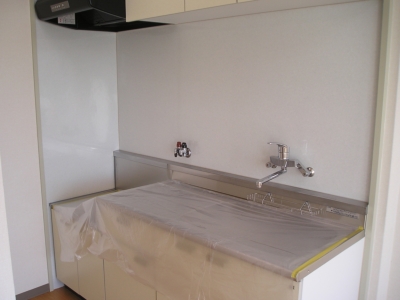 Kitchen. It is a large family type of kitchen! Two-burner gas stove installation Allowed