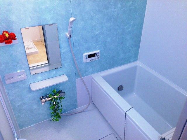 Bathroom. With add-fired function