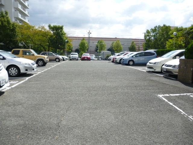 Parking lot. Common areas
