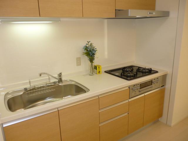 Kitchen. System kitchen