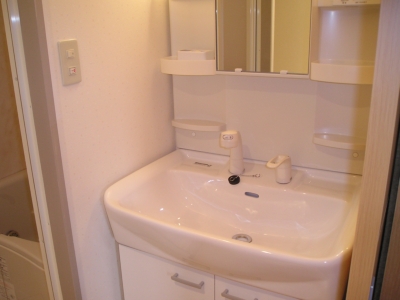 Washroom. Large washbasin, In happy equipment, It is also good in the morning of the dressing!