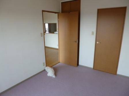 Non-living room