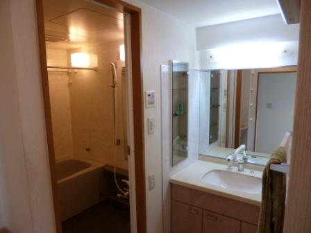 Wash basin, toilet