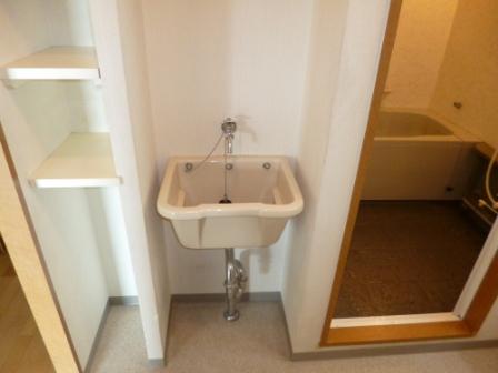 Other introspection. Slop sink