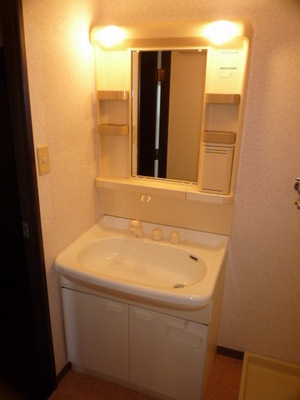 Washroom. Shampoo with Dresser