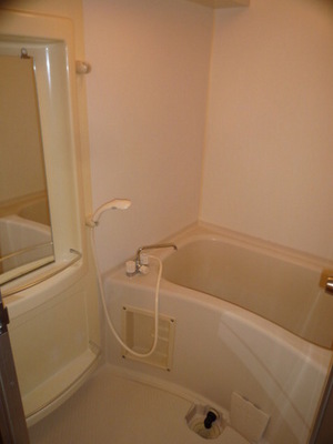 Bath. Spacious bathtub