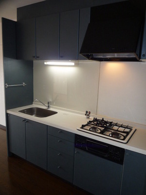 Kitchen. System kitchen