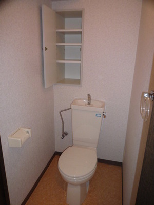 Toilet. Storage toilet