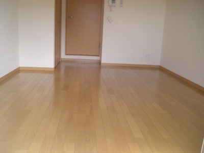 Living and room. Spacious Western-style! With high ceilings! It is a bright room! 