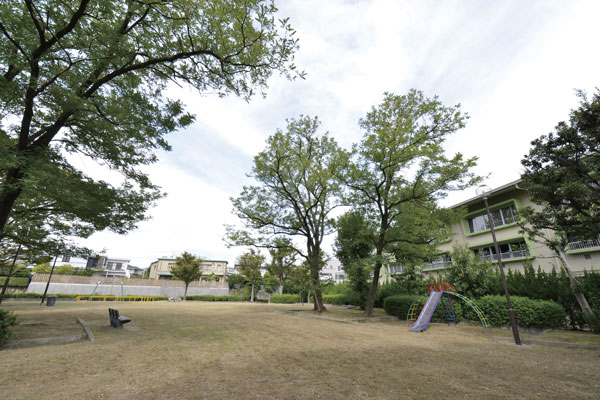 Surrounding environment. Obana park
