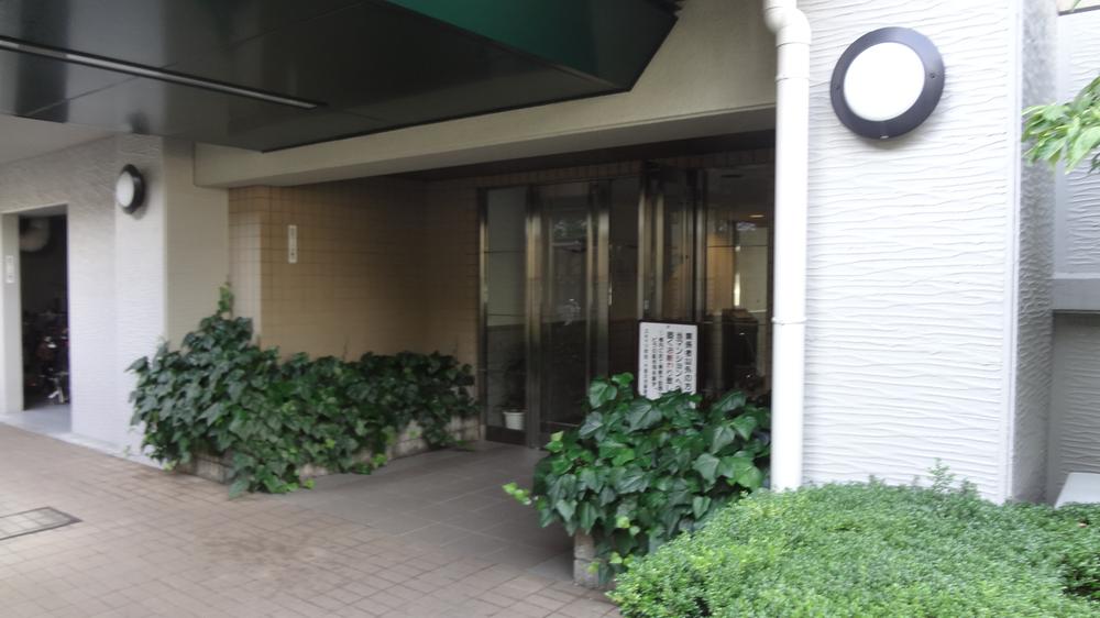 Entrance. Common areas
