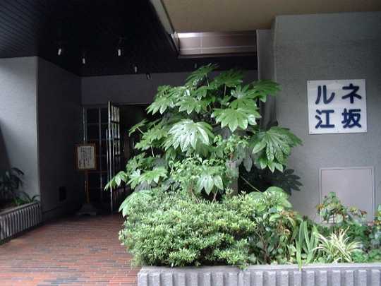 Local appearance photo. Exterior (1)