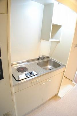 Kitchen. It is an economical all-electric apartment. 