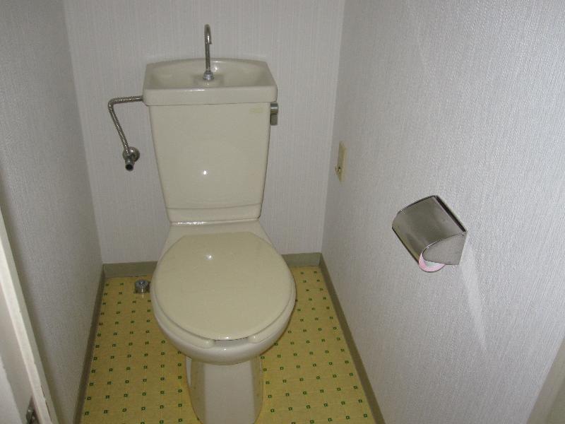 Toilet. Toilet