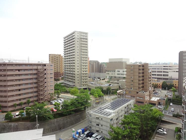 View photos from the dwelling unit. View from local
