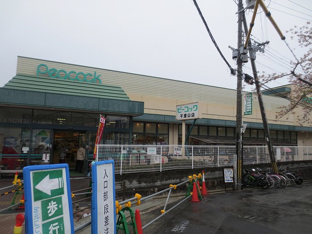 Supermarket. Daimarupikokku Senriyama store up to (super) 184m