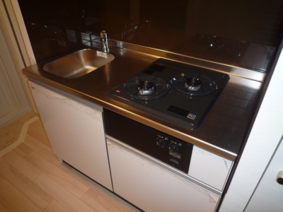 Kitchen. Two-burner gas system kitchen! Sink also widely! It is beautiful! 