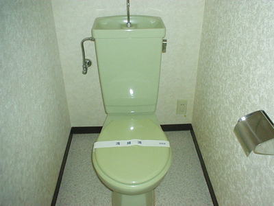 Toilet