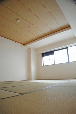 Living and room. Japanese style room