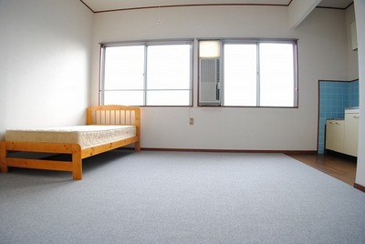 Living and room. Spacious clean room. 