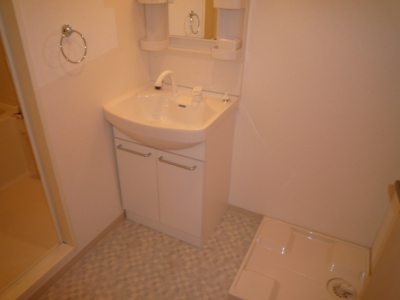 Washroom. Shampoo dresser! Indoor Pan! It is firmly dressing room!