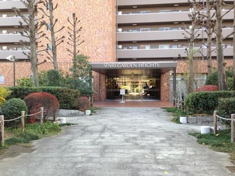 Entrance. Common areas