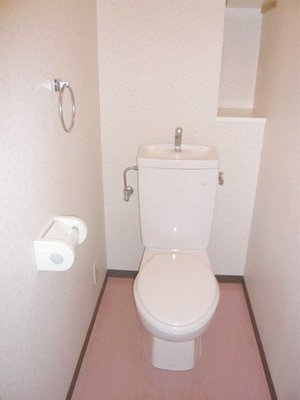 Toilet. Toilet