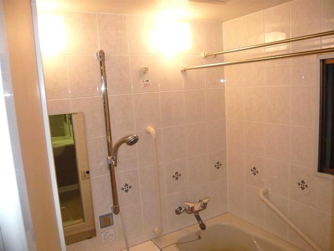 Bathroom. Indoor (12 May 2013) Shooting