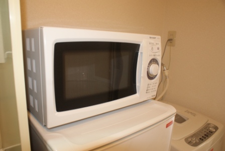 Other Equipment. microwave