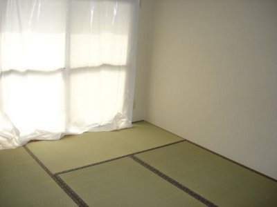 Living and room. Japanese style room