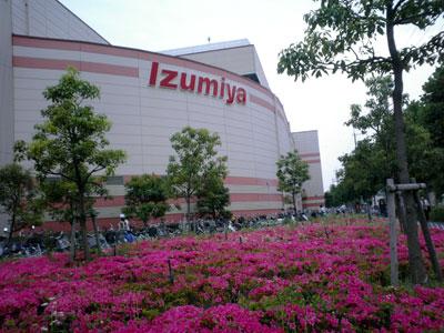 Supermarket. Izumiya until Senrioka shop 1033m