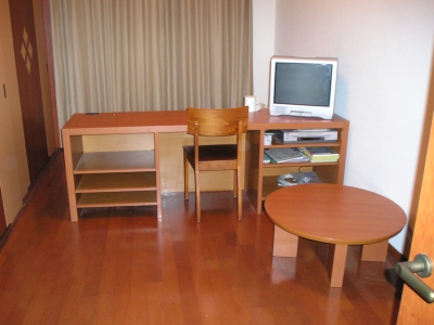 Living and room. You can also consult furnished plan! 